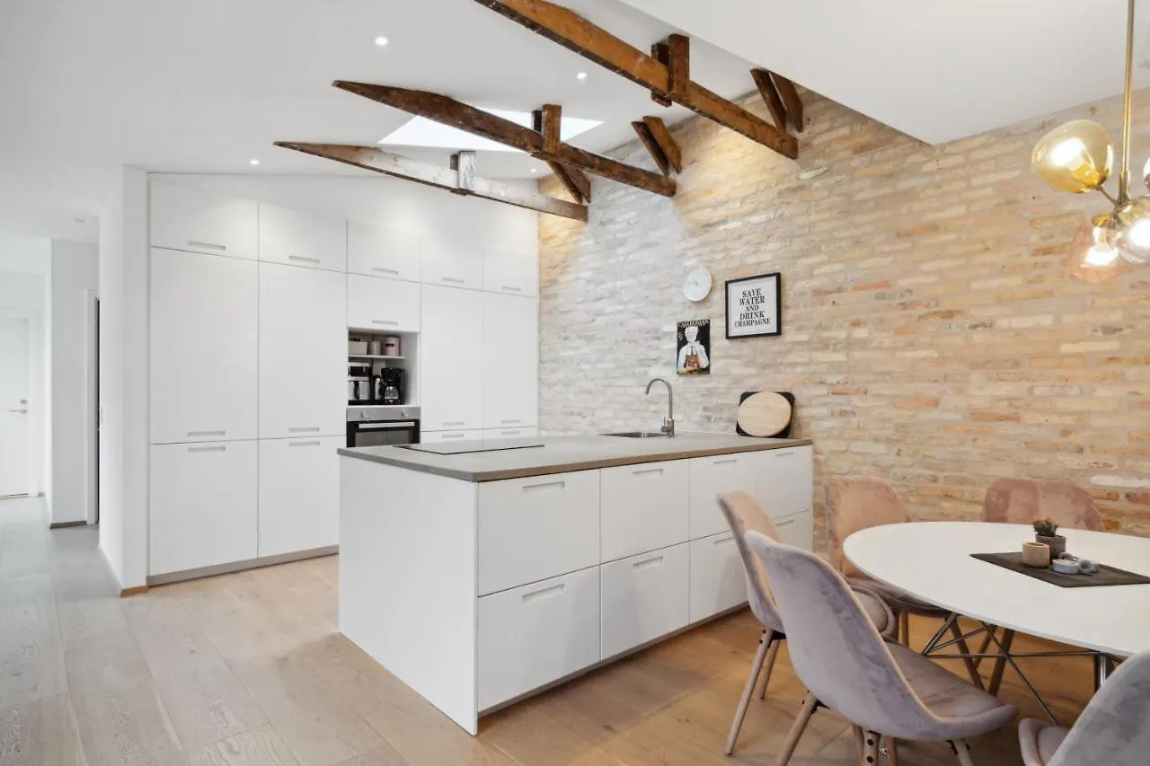 Central 3-Bedroom Apartment With A Big Terrace And Fitness Room オールボー