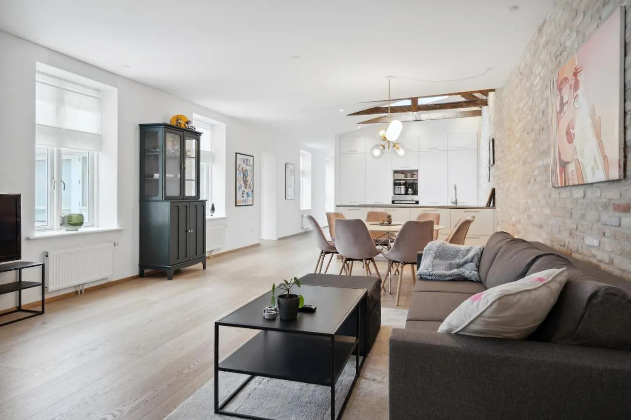 Central 3-Bedroom Apartment With A Big Terrace And Fitness Room Aalborg Denmark